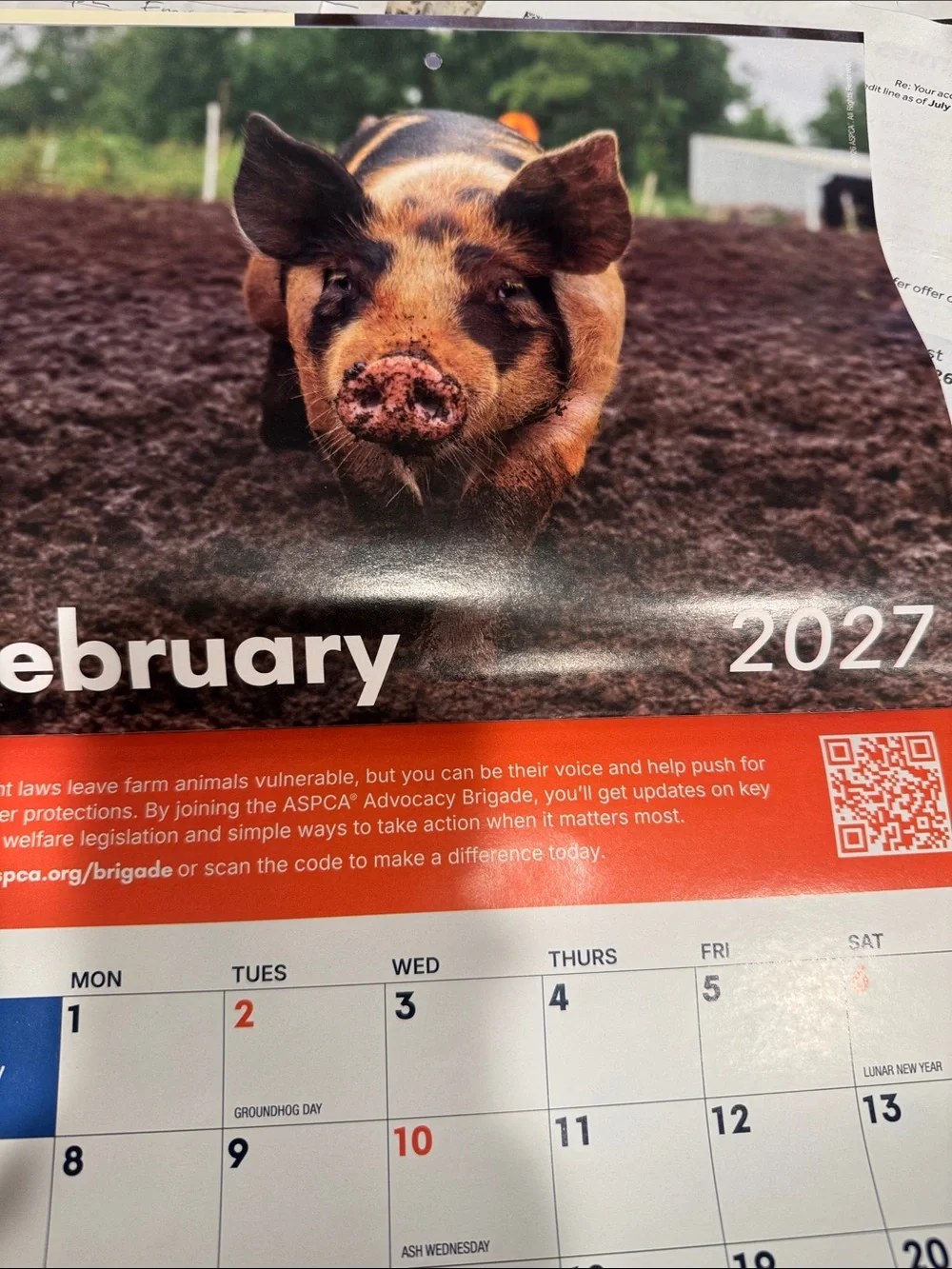 2027 Special Edition Calendar - Cream/Orange